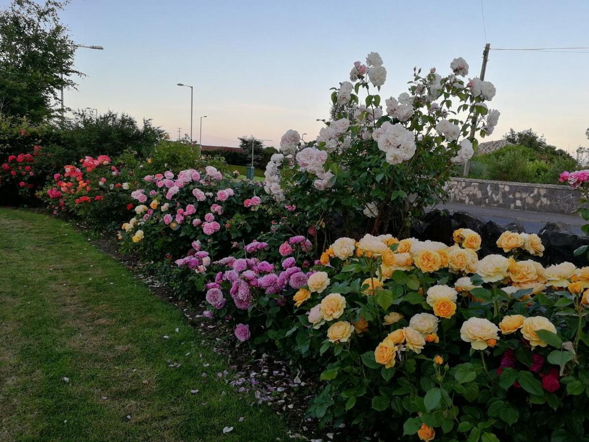 Fox Heaven B&B Carrickfergus Ngoại thất bức ảnh