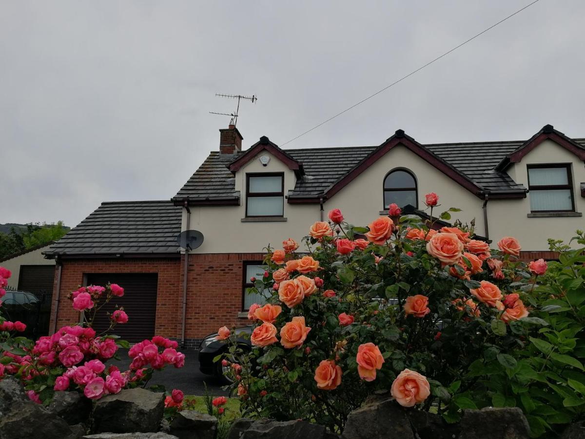 Fox Heaven B&B Carrickfergus Ngoại thất bức ảnh
